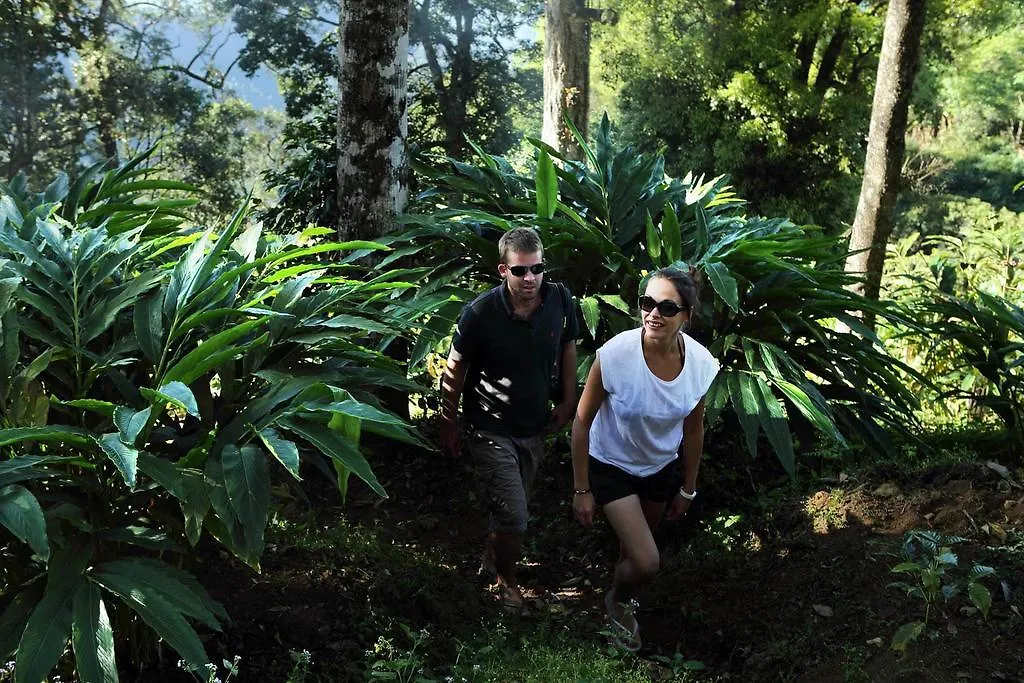 Olive Brook Hotel Munnar India