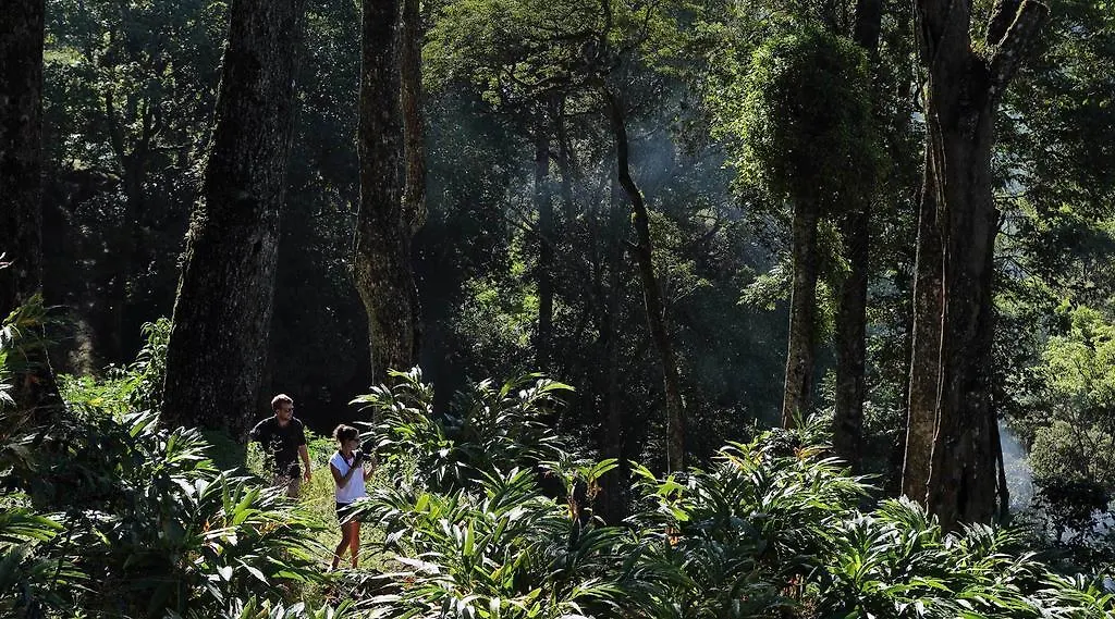 Hotel Olive Brook Munnar