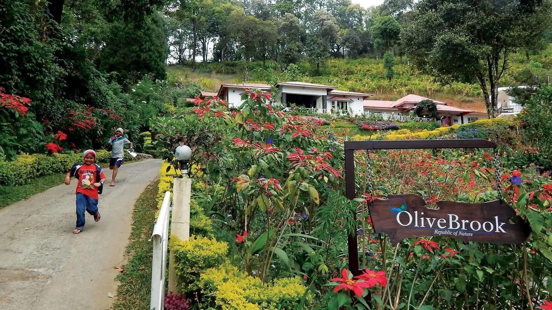 Olive Brook Hotel Munnar India