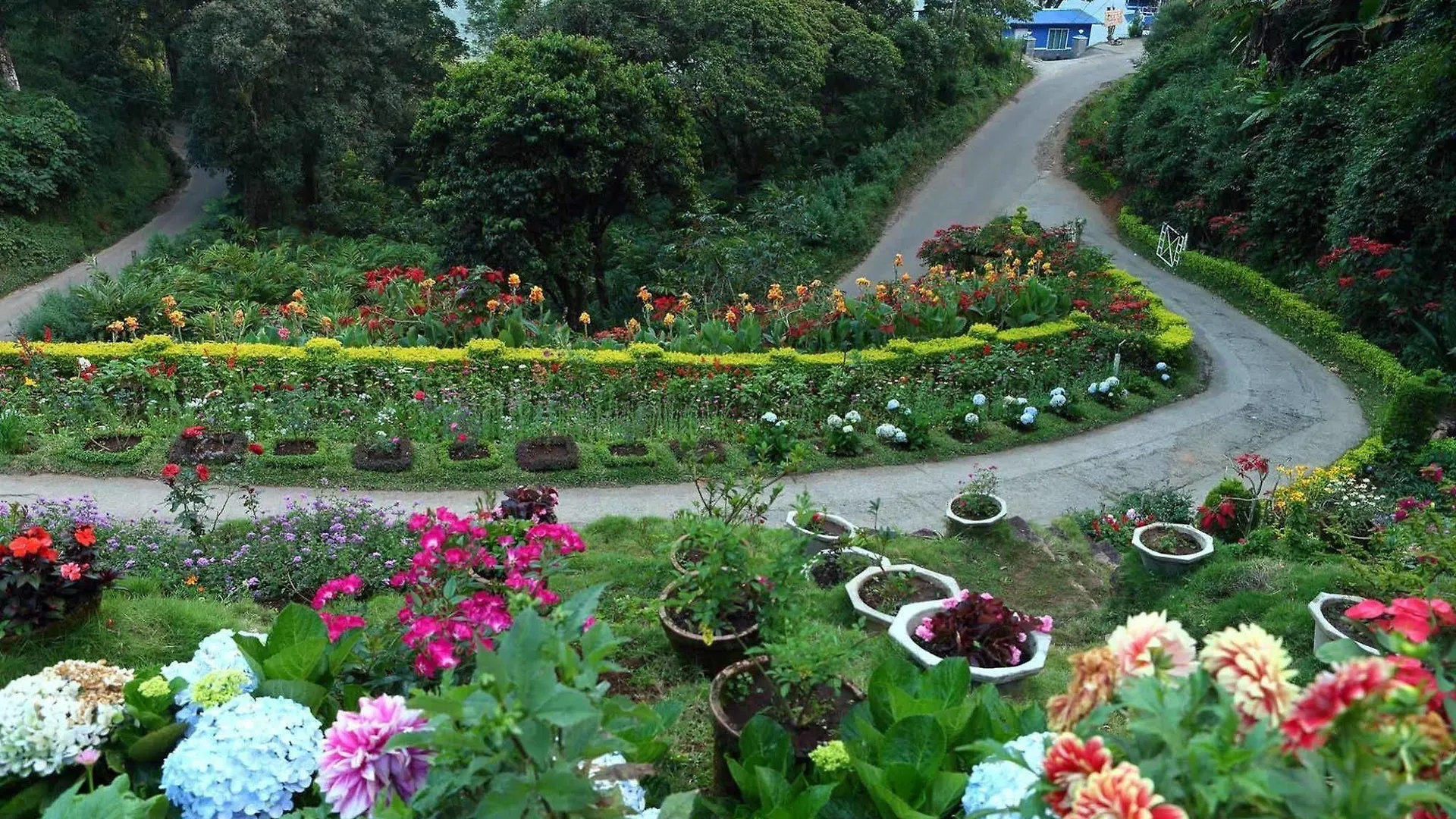 Hotel Olive Brook Munnar Resort